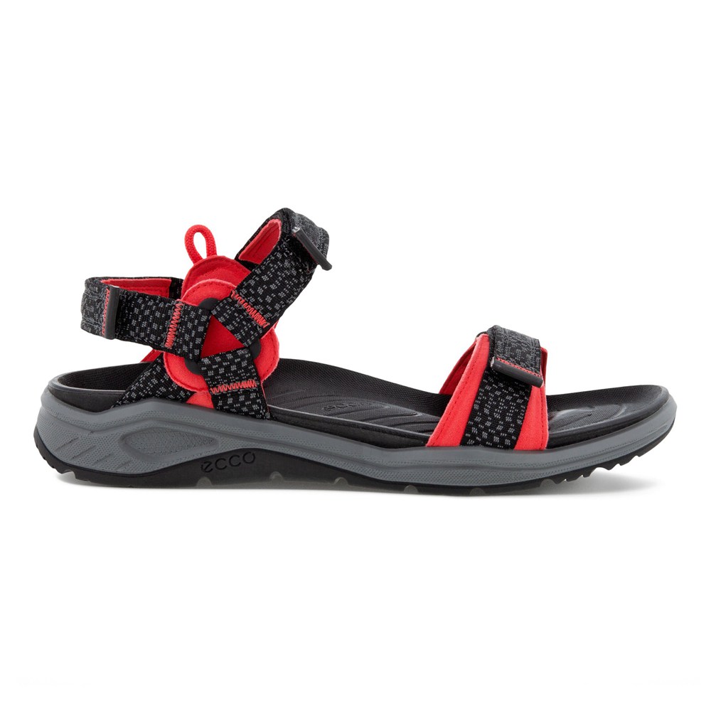 Sandalias Mujer - ECCO X-Trinsic 3S Water - Negros - PCI961340